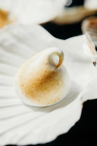 Toasted meringue on a white shell